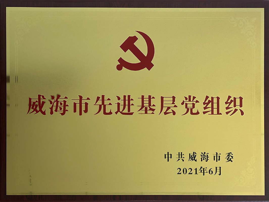 山東鑫發控股有限公司黨委被評為威海市先進基層黨組織